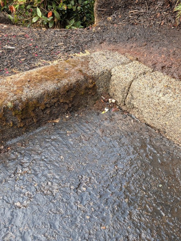 Moss being removed from a concrete curb