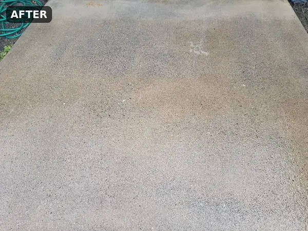 Clean concrete walkway after pressure washing by Mountain View Pressure Washing