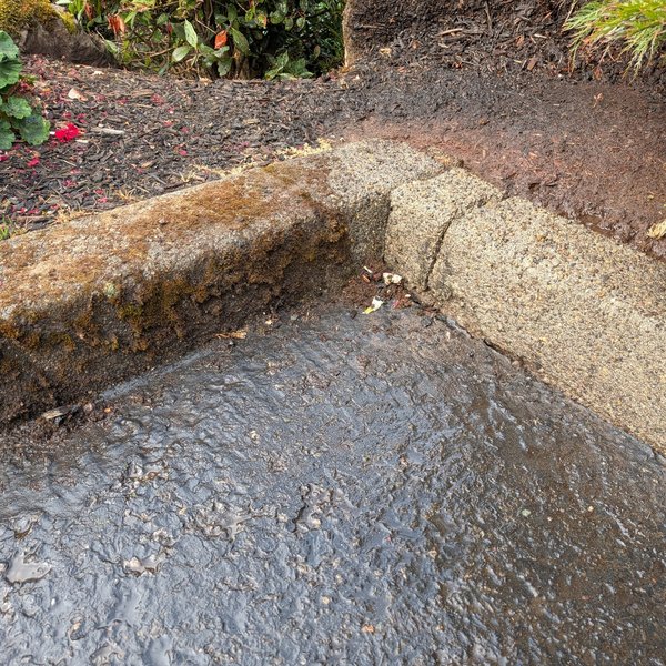 Pressure washing driveway Vancouver WA