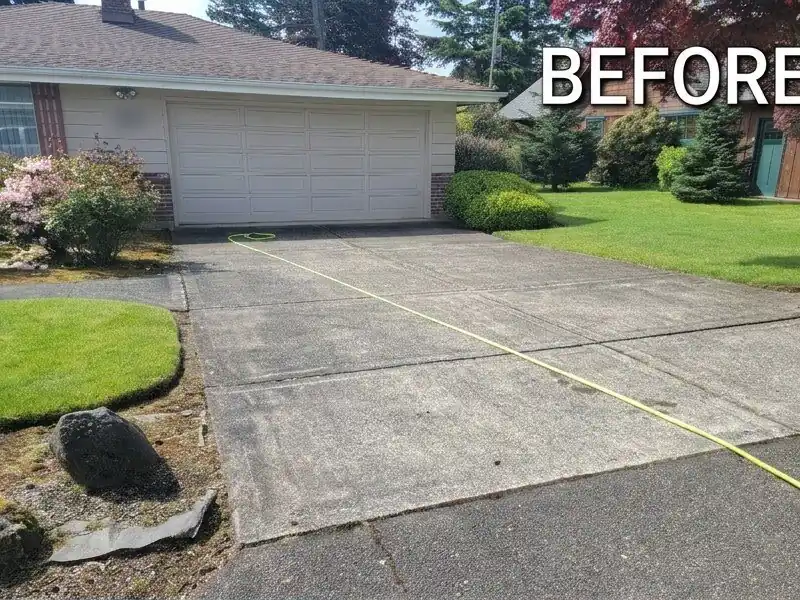 Mossy concrete driveway before pressure washing