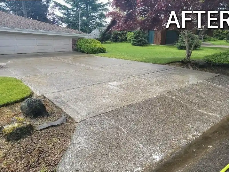 Concrete driveway after moss removal by Mountain View Pressure Washing
