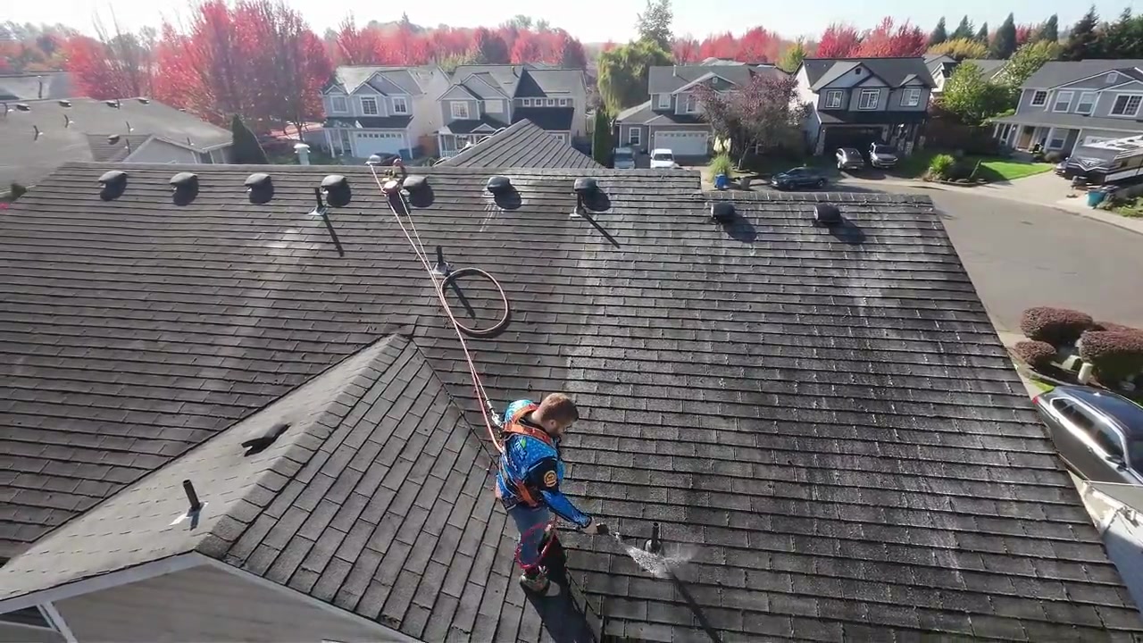 Soft washing a roof with a soft wash wand, Vancouver WA