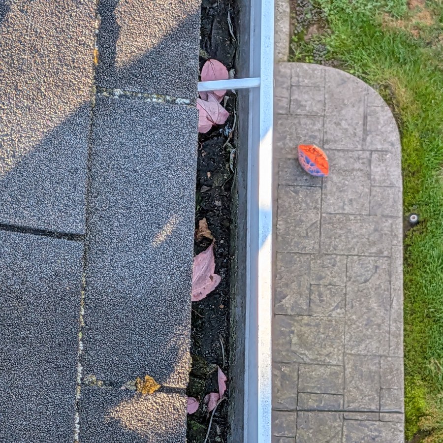 Clogged gutter before cleaning