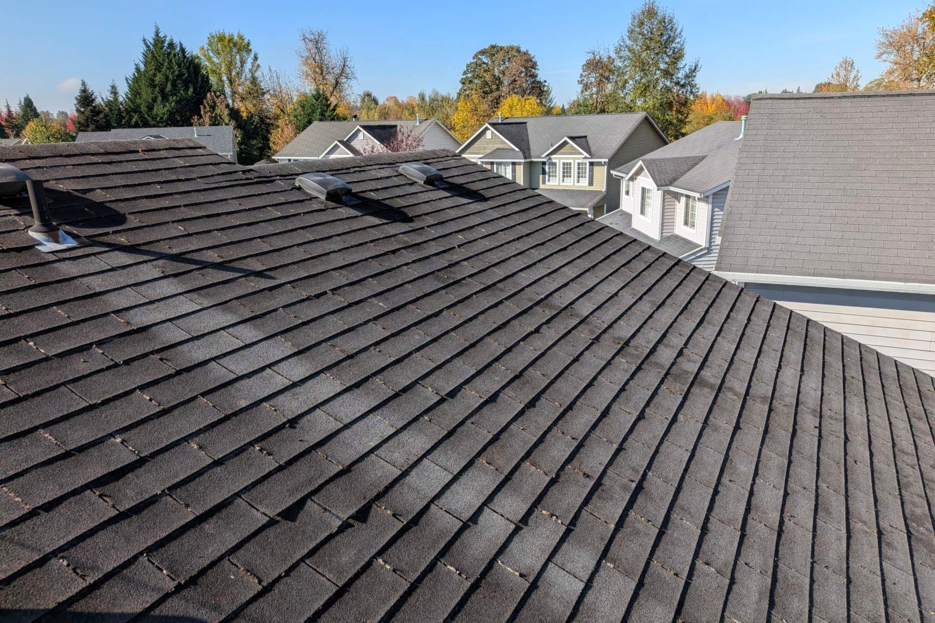 Clean roof with the neighborhood in the background