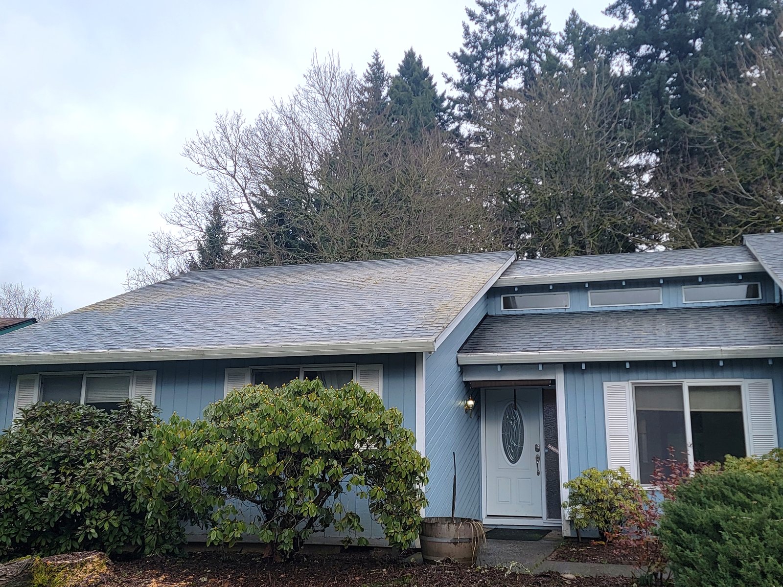 Clean roof after moss removal in Vancouver WA