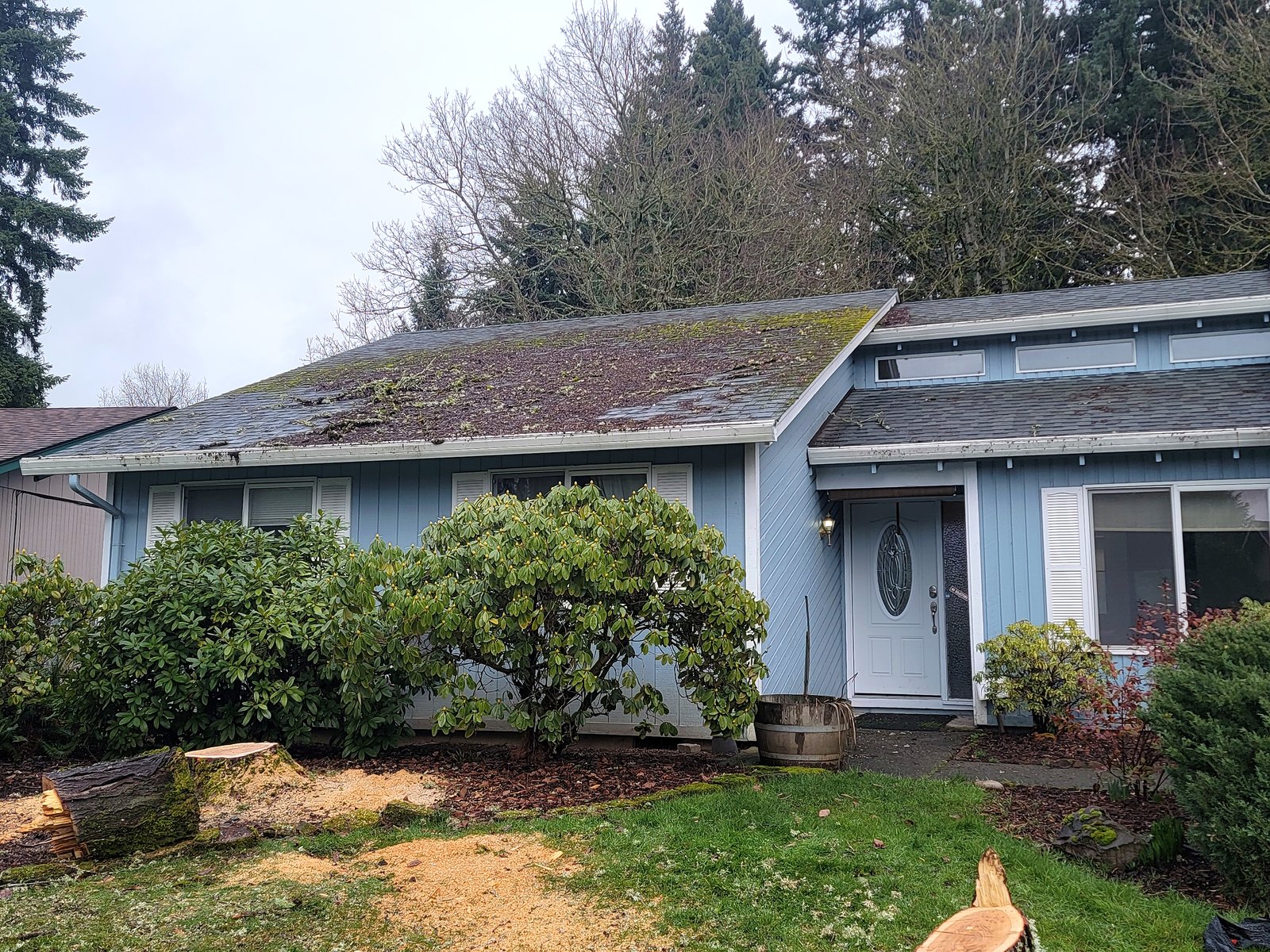 Mossy roof before roof washing in Vancouver WA
