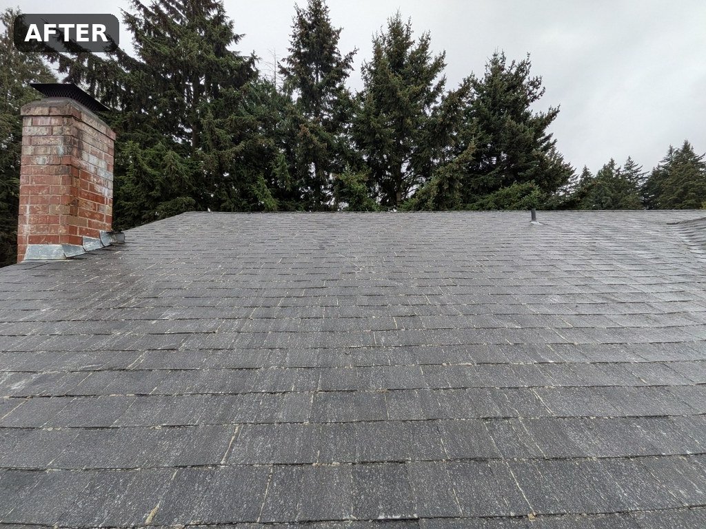 After Roof Washing