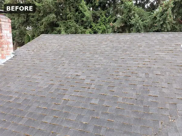 Before Roof Washing