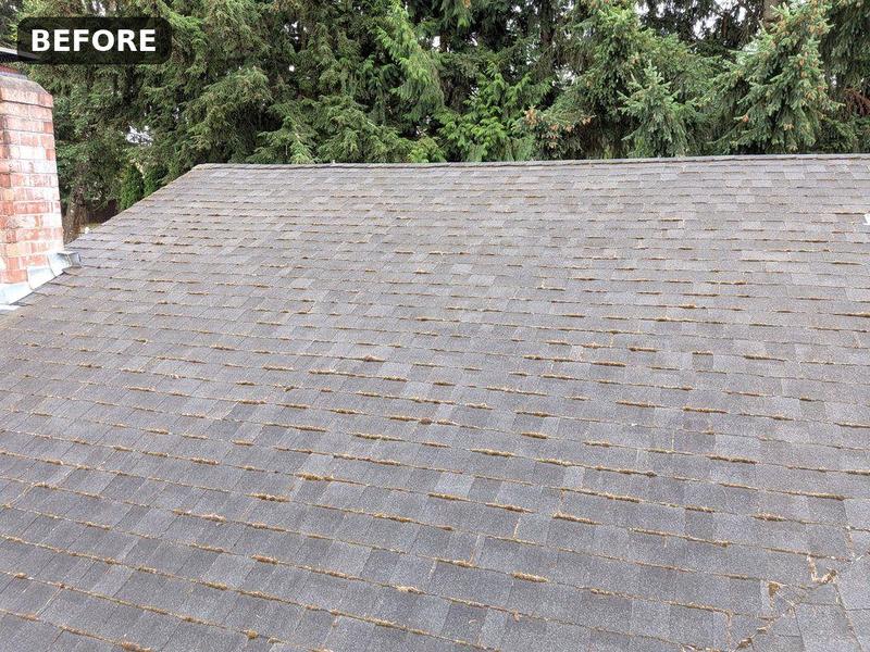 Before Roof Washing