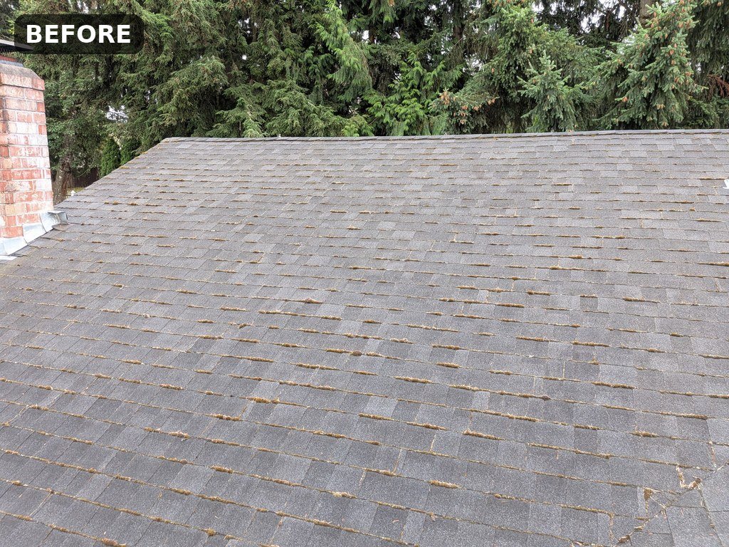 Before Roof Washing