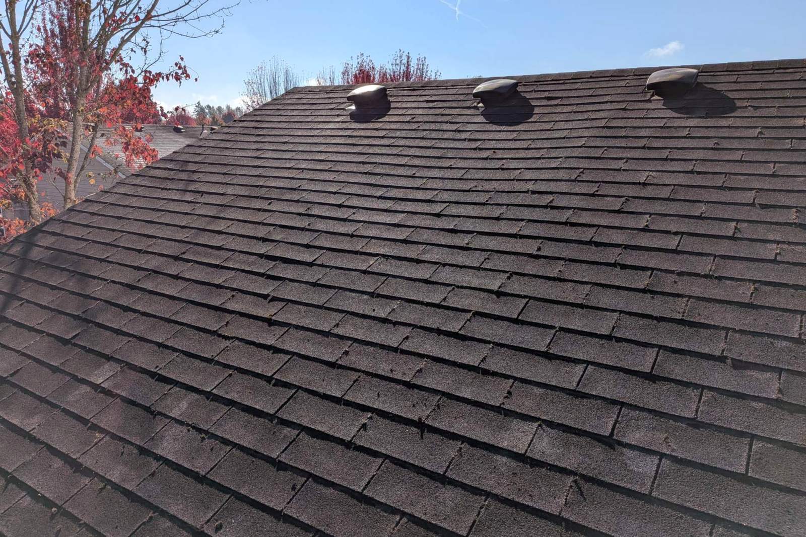 Clean shingle roof after soft washing