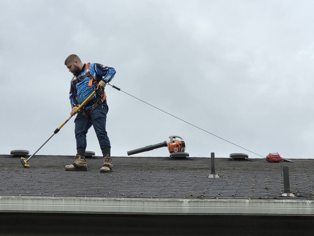 Dakota Grindland in a safety harness scrubbing a roof with a soft-bristle brush on an extension pole