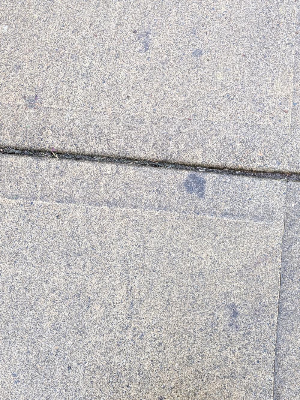 Faint leaf tannin stains on concrete sidewalk panels